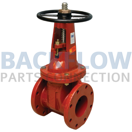 2½" Flanged Gate Valve 