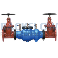 Wilkins 4" 350AST DC SS Body w/ NRS Gate Valves